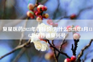 复星医药2023年目标价(为什么2023年8月13G34是普通复兴号
) 复星医药2023年目标价(为什么2023年8月13G34是普通复兴号
)