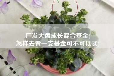 广发大盘成长混合基金(
怎样去看一支基金可不可以买) 广发大盘成长混合基金(
怎样去看一支基金可不可以买)