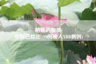哈医药股票(
中国已检出199例输入XBB病例)