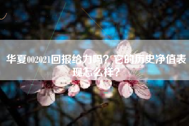 华夏002021回报给力吗？它的历史净值表现怎么样？
