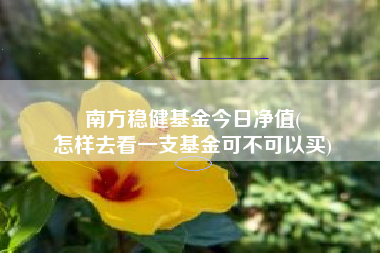 南方稳健基金今日净值(
怎样去看一支基金可不可以买)