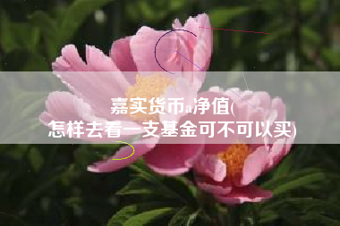 嘉实货币a净值(
怎样去看一支基金可不可以买)