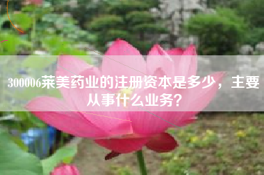 300006莱美药业的注册资本是多少，主要从事什么业务？