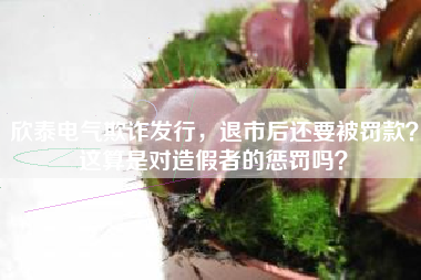 欣泰电气欺诈发行，退市后还要被罚款？这算是对造假者的惩罚吗？