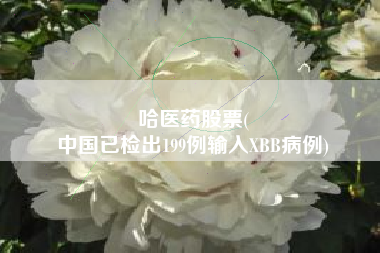 哈医药股票(
中国已检出199例输入XBB病例)