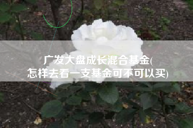 广发大盘成长混合基金(
怎样去看一支基金可不可以买) 广发大盘成长混合基金(
怎样去看一支基金可不可以买)