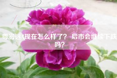 粤宏远A现在怎么样了？ 后市会继续下跌吗？