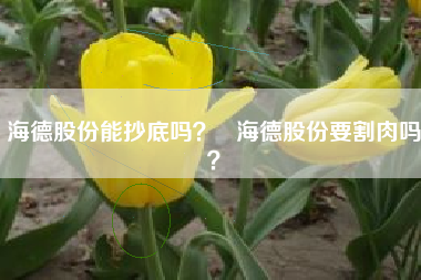 海德股份能抄底吗？   海德股份要割肉吗？