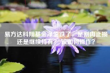 易方达科翔基金净值跌了，是割肉止损还是继续持有？ 该如何操作？
