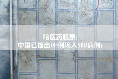 哈医药股票(
中国已检出199例输入XBB病例)