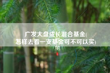 广发大盘成长混合基金(
怎样去看一支基金可不可以买) 广发大盘成长混合基金(
怎样去看一支基金可不可以买)