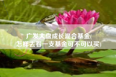 广发大盘成长混合基金(
怎样去看一支基金可不可以买) 广发大盘成长混合基金(
怎样去看一支基金可不可以买)