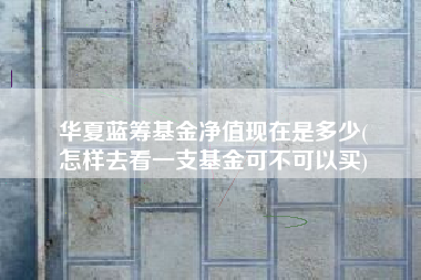 华夏蓝筹基金净值现在是多少(
怎样去看一支基金可不可以买)