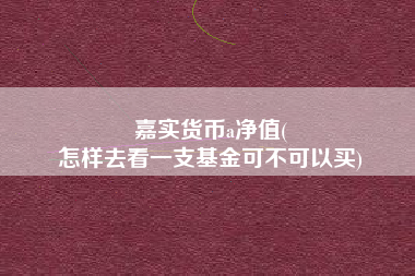 嘉实货币a净值(
怎样去看一支基金可不可以买)