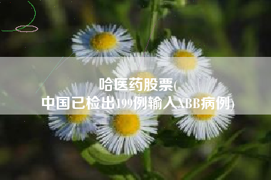 哈医药股票(
中国已检出199例输入XBB病例)