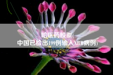 哈医药股票(
中国已检出199例输入XBB病例)