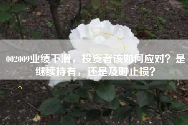 002009业绩下滑，投资者该如何应对？是继续持有，还是及时止损？
