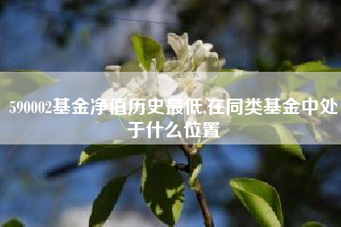 590002基金净值历史最低,在同类基金中处于什么位置