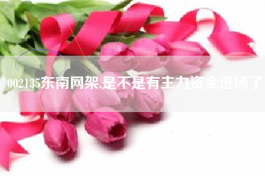 002135东南网架,是不是有主力资金进场了