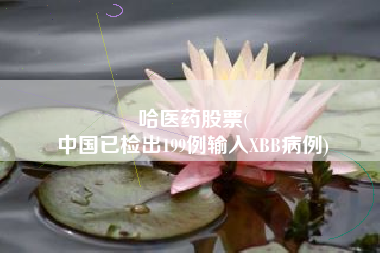 哈医药股票(
中国已检出199例输入XBB病例)