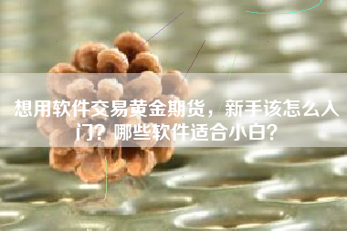 想用软件交易黄金期货，新手该怎么入门？哪些软件适合小白？