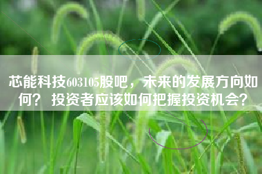 芯能科技603105股吧，未来的发展方向如何？ 投资者应该如何把握投资机会？