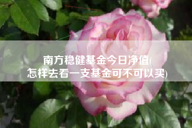 南方稳健基金今日净值(
怎样去看一支基金可不可以买)