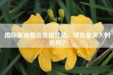 国际原油期货价格波动，现在是买入时机吗？