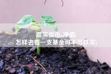 嘉实货币a净值(
怎样去看一支基金可不可以买)