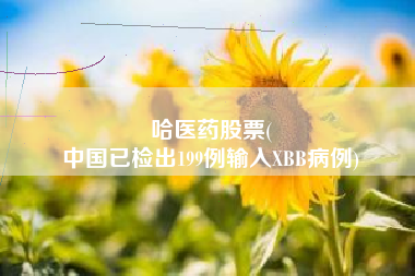 哈医药股票(
中国已检出199例输入XBB病例)