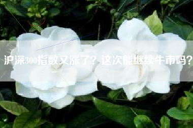 沪深300指数又涨了？这次能继续牛市吗？