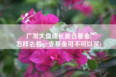广发大盘成长混合基金(
怎样去看一支基金可不可以买) 广发大盘成长混合基金(
怎样去看一支基金可不可以买)