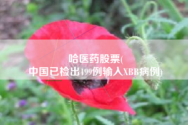 哈医药股票(
中国已检出199例输入XBB病例)