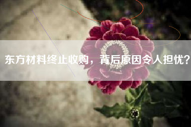 东方材料终止收购，背后原因令人担忧？