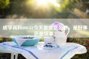 威孚高科000581今天量能这么低，是好事还是坏事？
