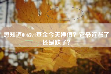 想知道006594基金今天净值？它最近涨了还是跌了？