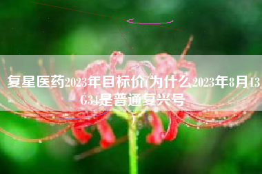 复星医药2023年目标价(为什么2023年8月13G34是普通复兴号
) 复星医药2023年目标价(为什么2023年8月13G34是普通复兴号
)