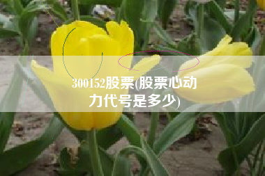300152股票(股票心动
力代号是多少) 300152股票(股票心动
力代号是多少)