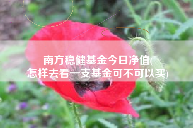 南方稳健基金今日净值(
怎样去看一支基金可不可以买)