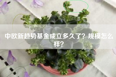 中欧新趋势基金成立多久了？规模怎么样？