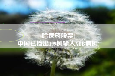 哈医药股票(
中国已检出199例输入XBB病例)