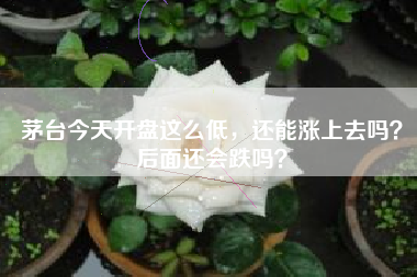 茅台今天开盘这么低，还能涨上去吗？后面还会跌吗？