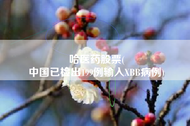 哈医药股票(
中国已检出199例输入XBB病例)