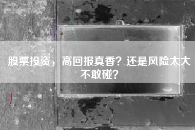 股票投资，高回报真香？还是风险太大不敢碰？