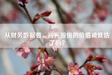 从财务数据看，裕兴股份的价值被低估了吗？