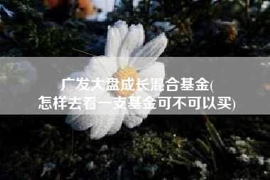 广发大盘成长混合基金(
怎样去看一支基金可不可以买) 广发大盘成长混合基金(
怎样去看一支基金可不可以买)