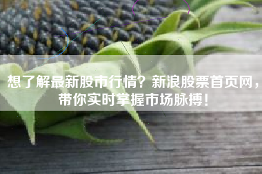 想了解最新股市行情？新浪股票首页网，带你实时掌握市场脉搏！