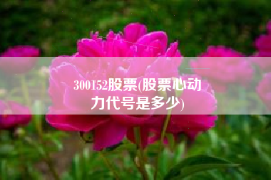 300152股票(股票心动
力代号是多少) 300152股票(股票心动
力代号是多少)