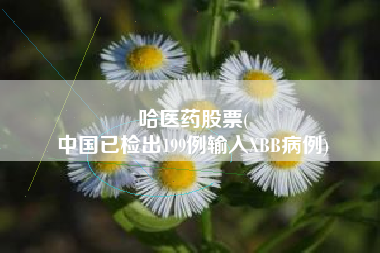 哈医药股票(
中国已检出199例输入XBB病例)