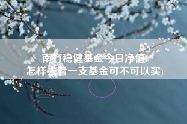 南方稳健基金今日净值(
怎样去看一支基金可不可以买)